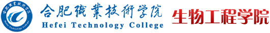 91精品一区 91精品一区